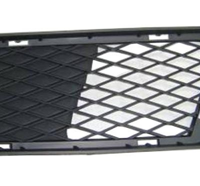 BMW E92 2006-2012 NEW Bumper Grille L/H